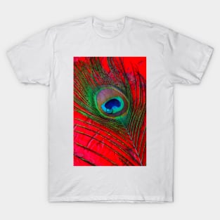 Dew Drop On Peacock Feather On red Table T-Shirt